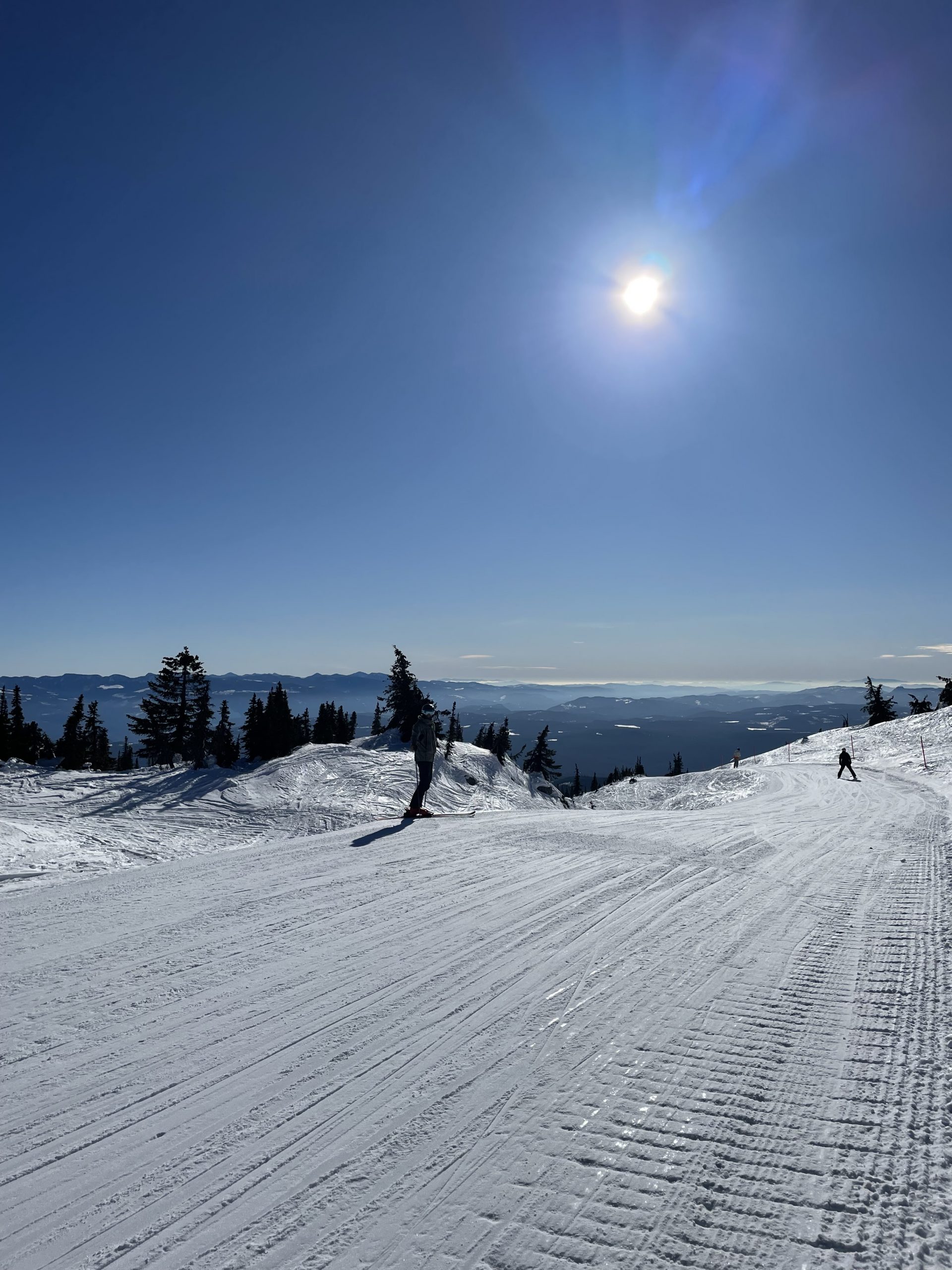 In Search of Winter Wonderland Magic